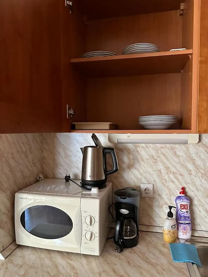 Lovely 1-Bedroom Apartment 120M From The Ski Lift 반스코