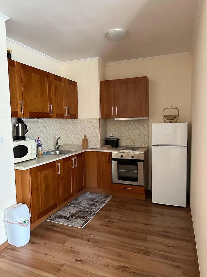 Lovely 1-Bedroom Apartment 120M From The Ski Lift Bansko