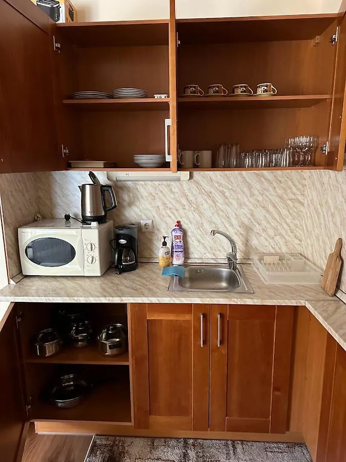 Lovely 1-Bedroom Apartment 120M From The Ski Lift Bansko